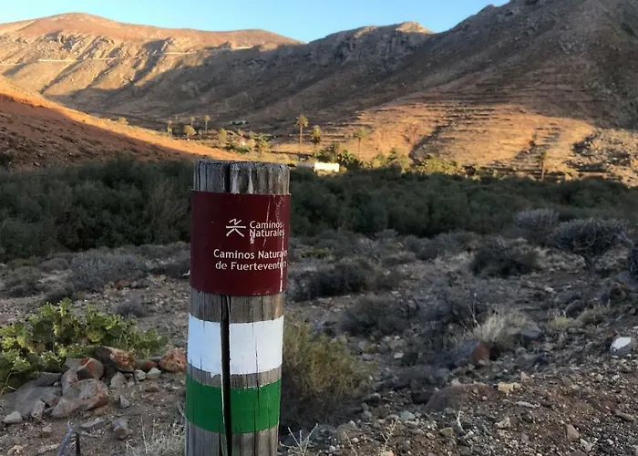 Lägenhet Casa Cactus Pájara